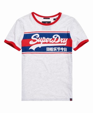 Superdry Vintage Logo Ringer Infill Női Pólók Szürke | AVPRT8167